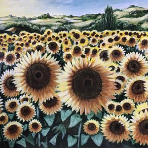 Girasoli